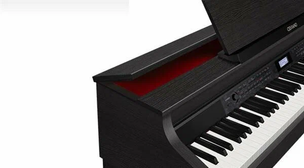 CASIO Celviano AP-650BK