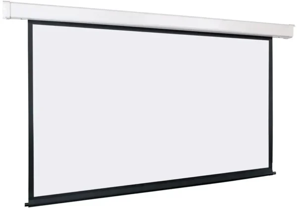 Lumien Eco Control LEC-100112 - экран с электроприводом 198x300 см