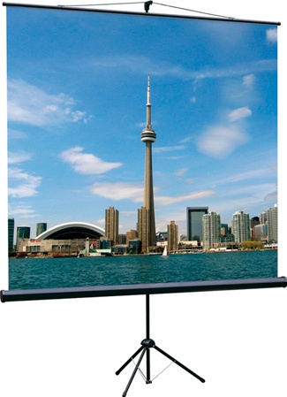 Lumien Eco View LEV-100108 - экран