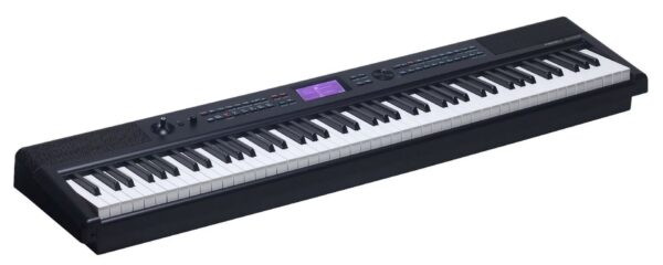Medeli SP-A500 - цифровое пианино, черное